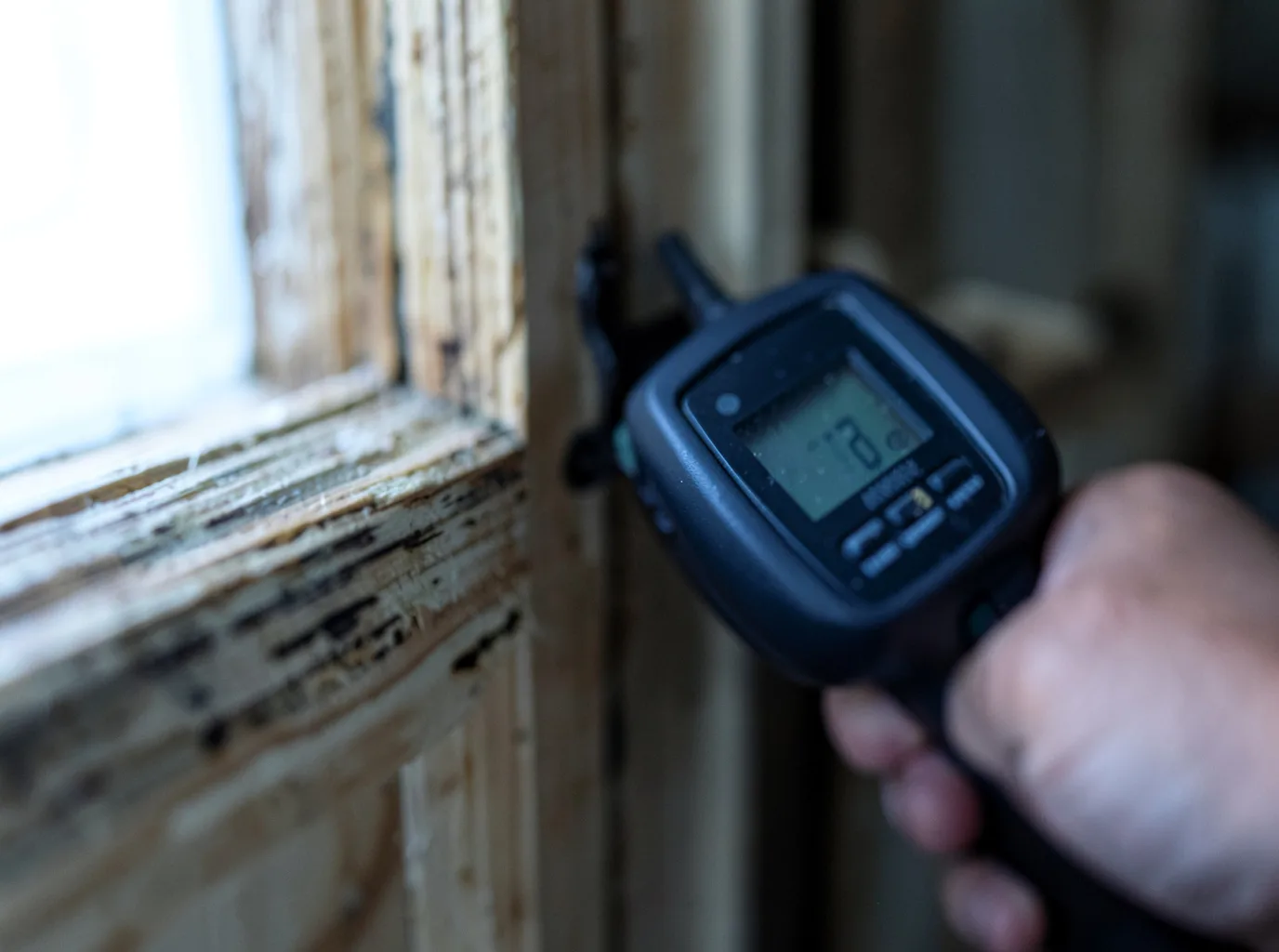 Moisture Inspection And Documentation in Hague, NY
